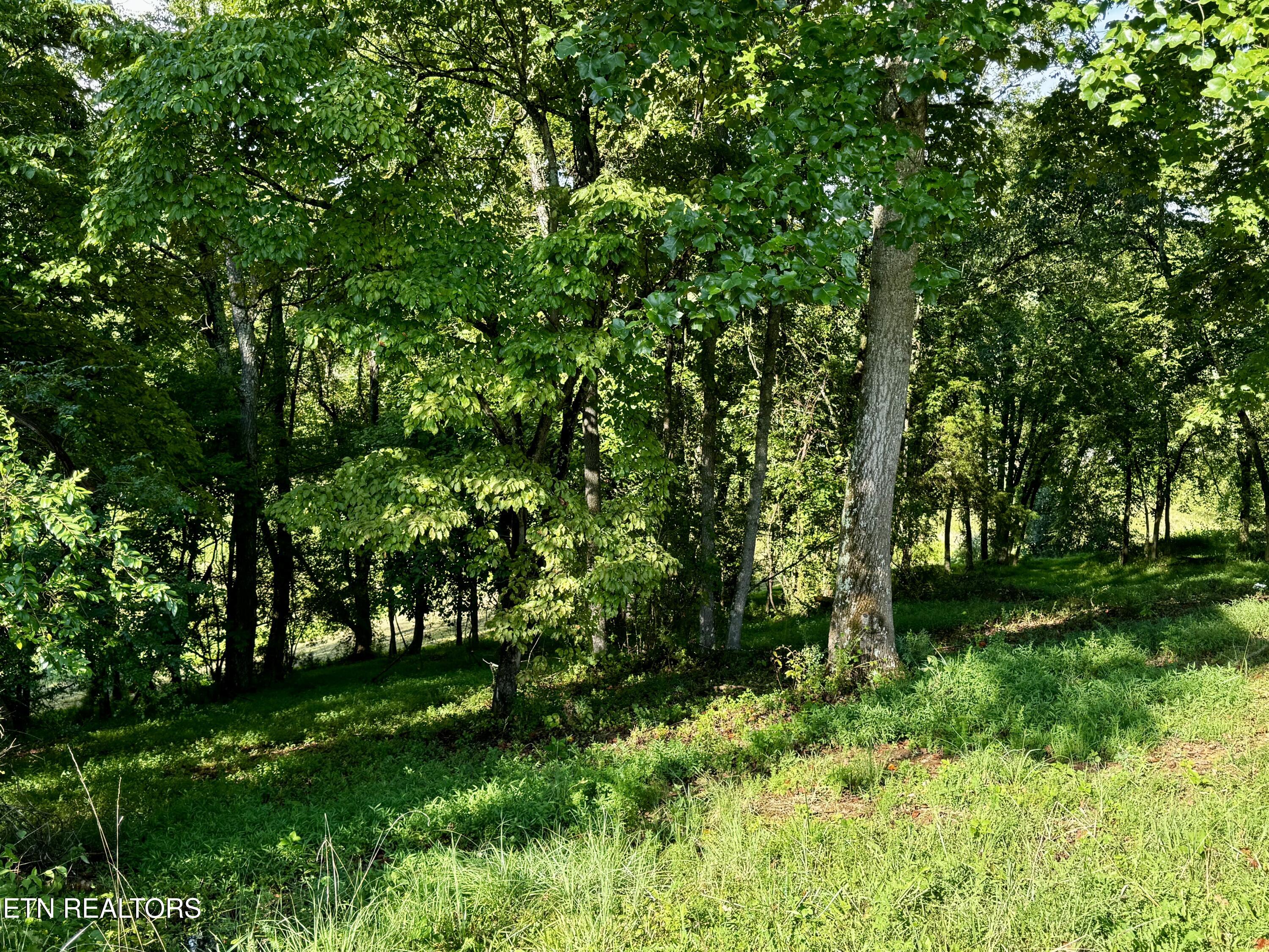 Lot 207 Clyde Ed Road Kodak, TN 37764 - Photo 7 of 14 IMG_4006