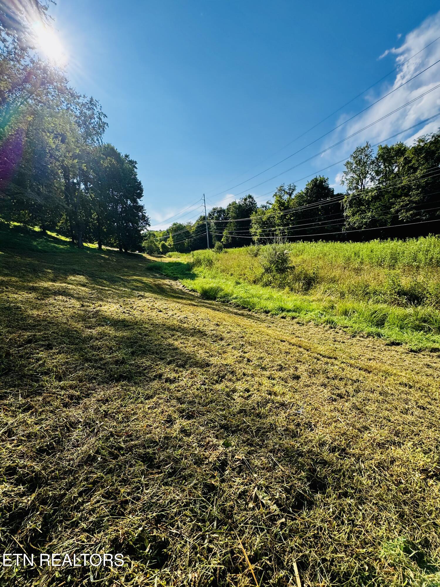 Lot 207 Clyde Ed Road Kodak, TN 37764 - Photo 9 of 14 IMG_3986