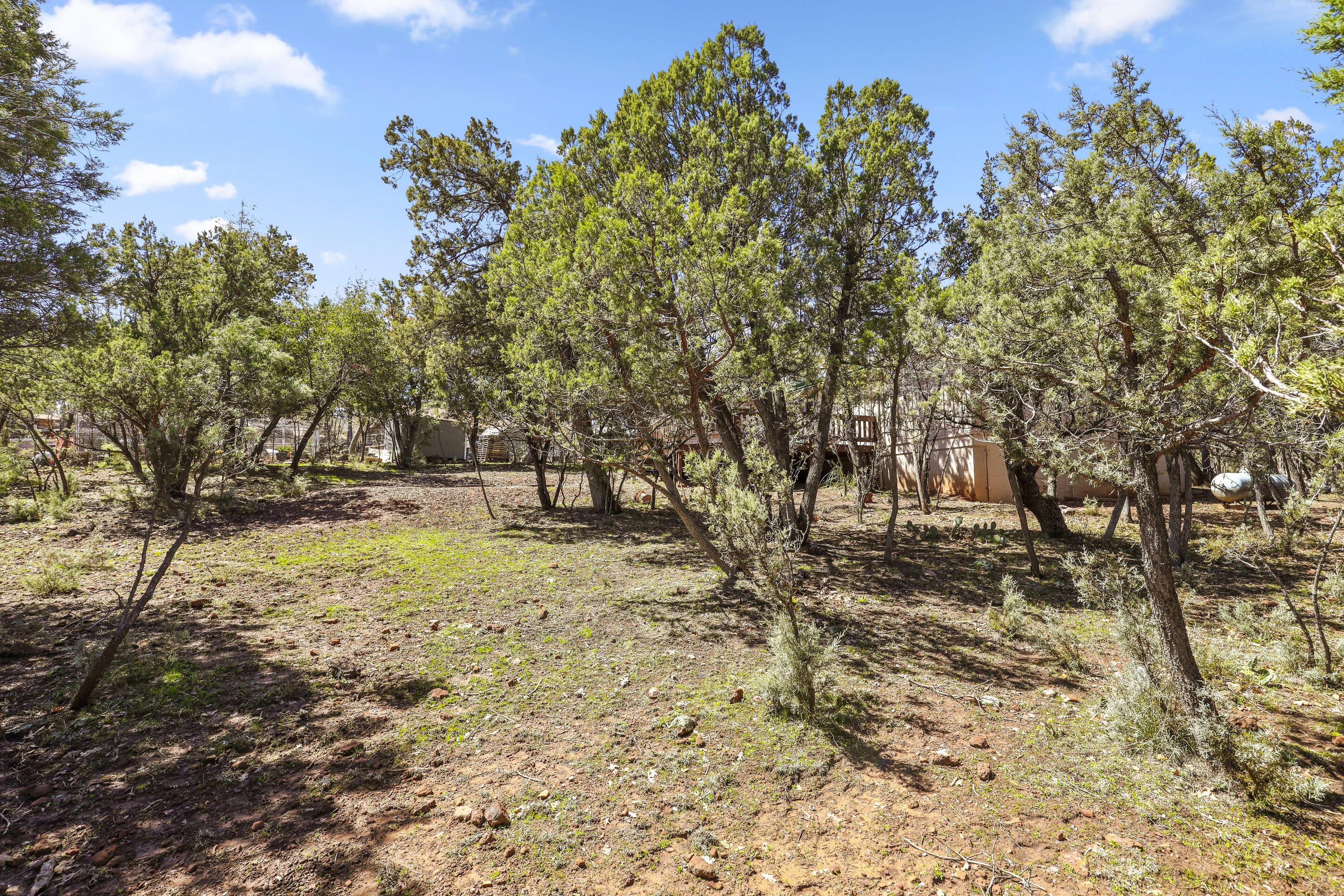 3495 Limestone Way Pine, AZ 85544 - Photo 24 of 31