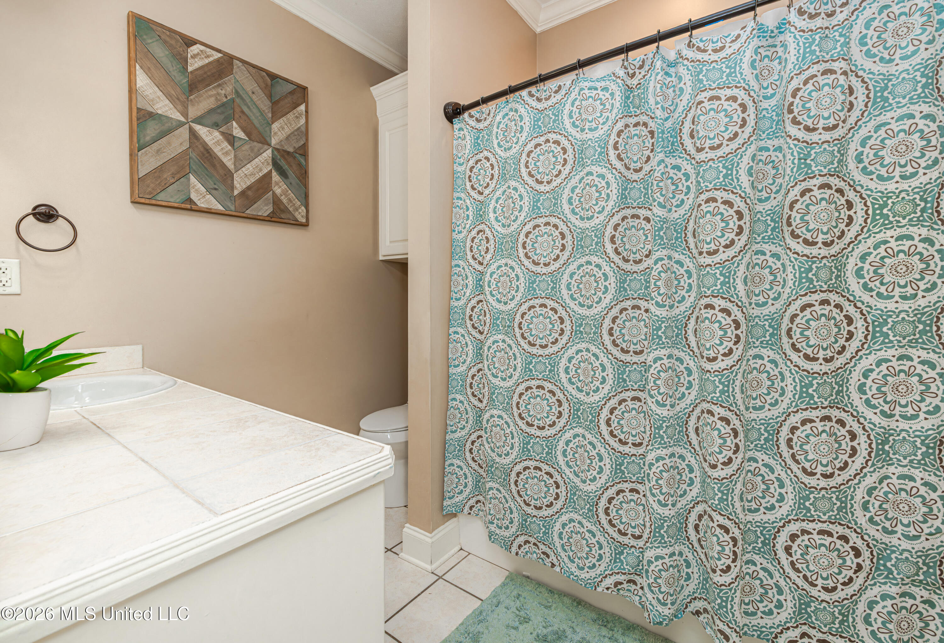 677 Parker Place Brandon, MS 39042 - Photo 27 of 34 1R4A5948