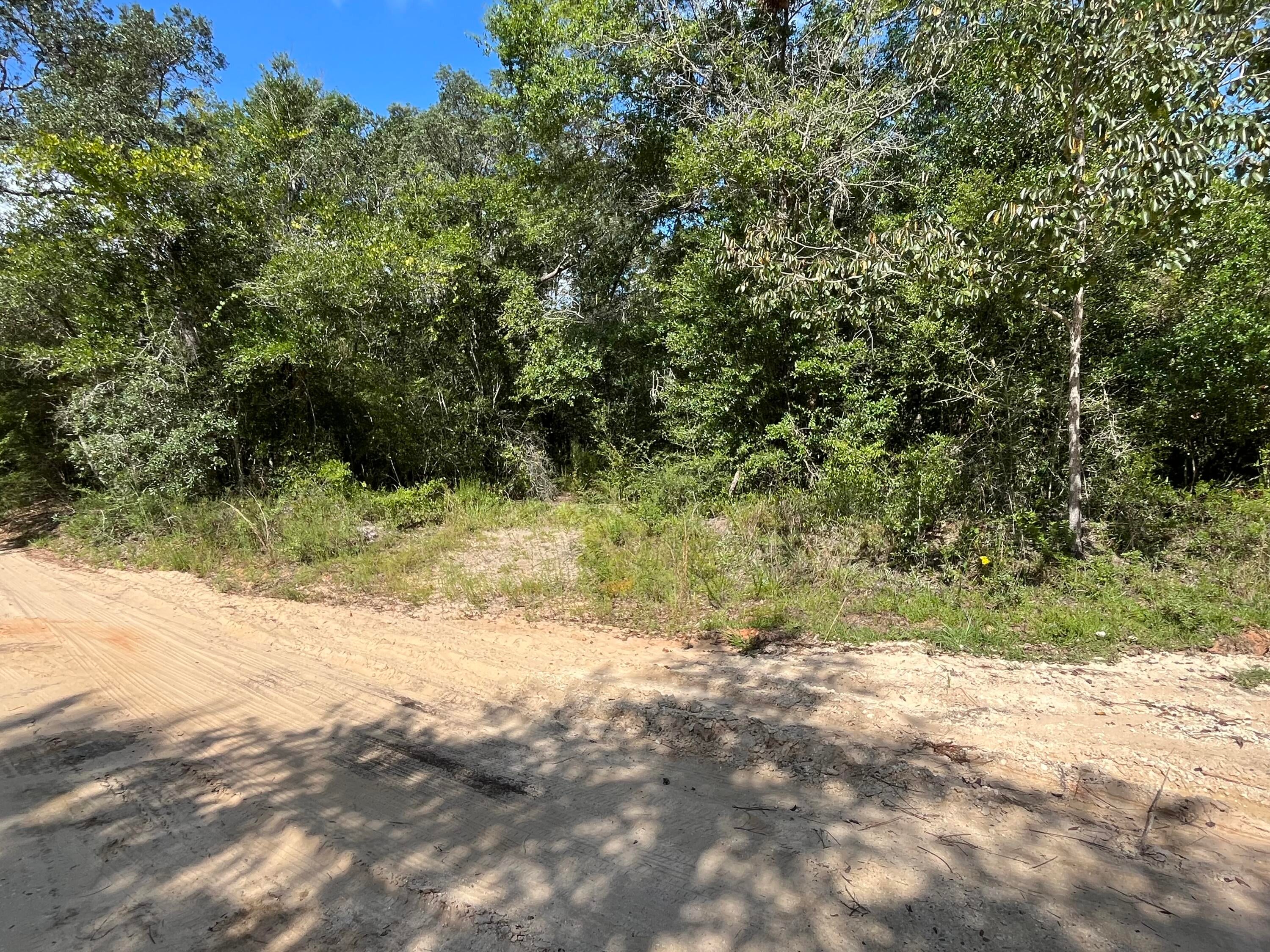 13-ac Broxson Road Holt, FL 32564 - Photo 2 of 3 Gallery Image 2