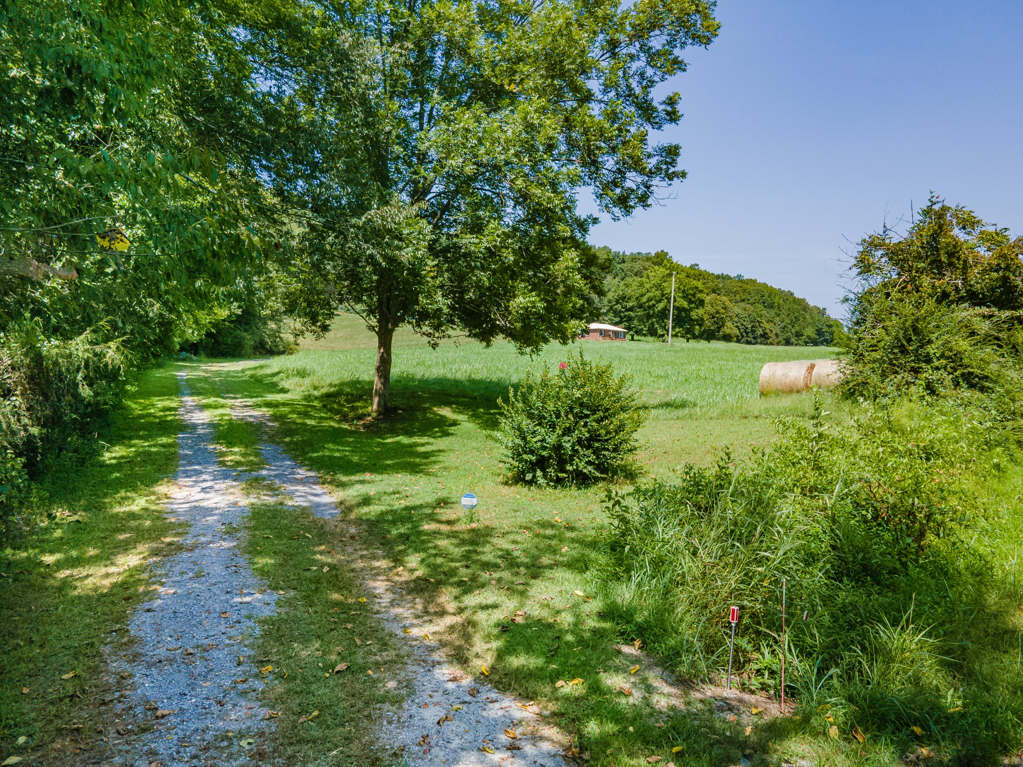 7020 Morgan Creek Road Centerville, TN 37033 - Photo 17 of 99 Gallery Image 17