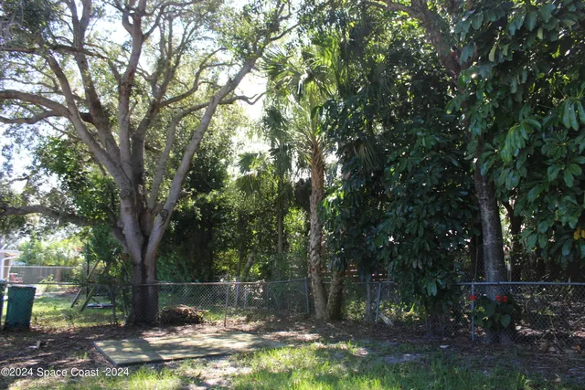 a view of a yard with trees