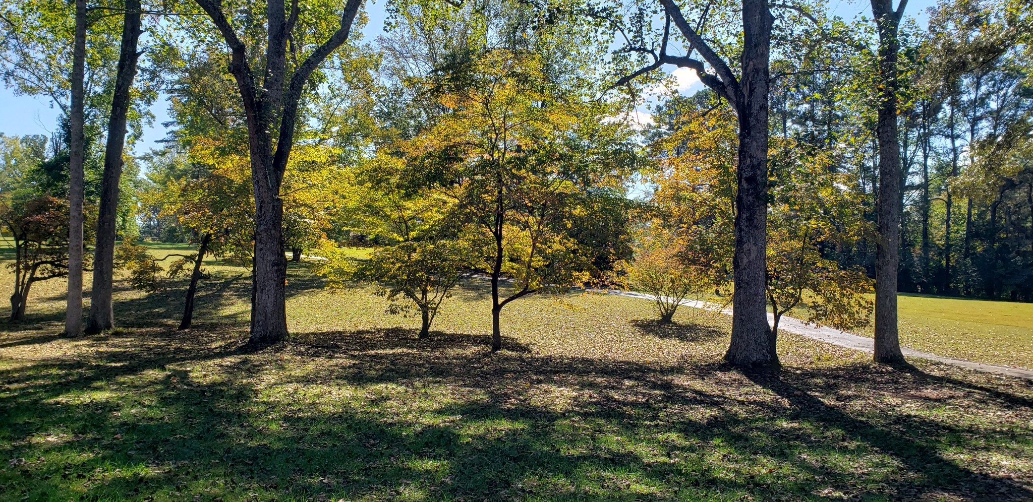 416 Powers Road Manchester, TN 37355 - Photo 11 of 72