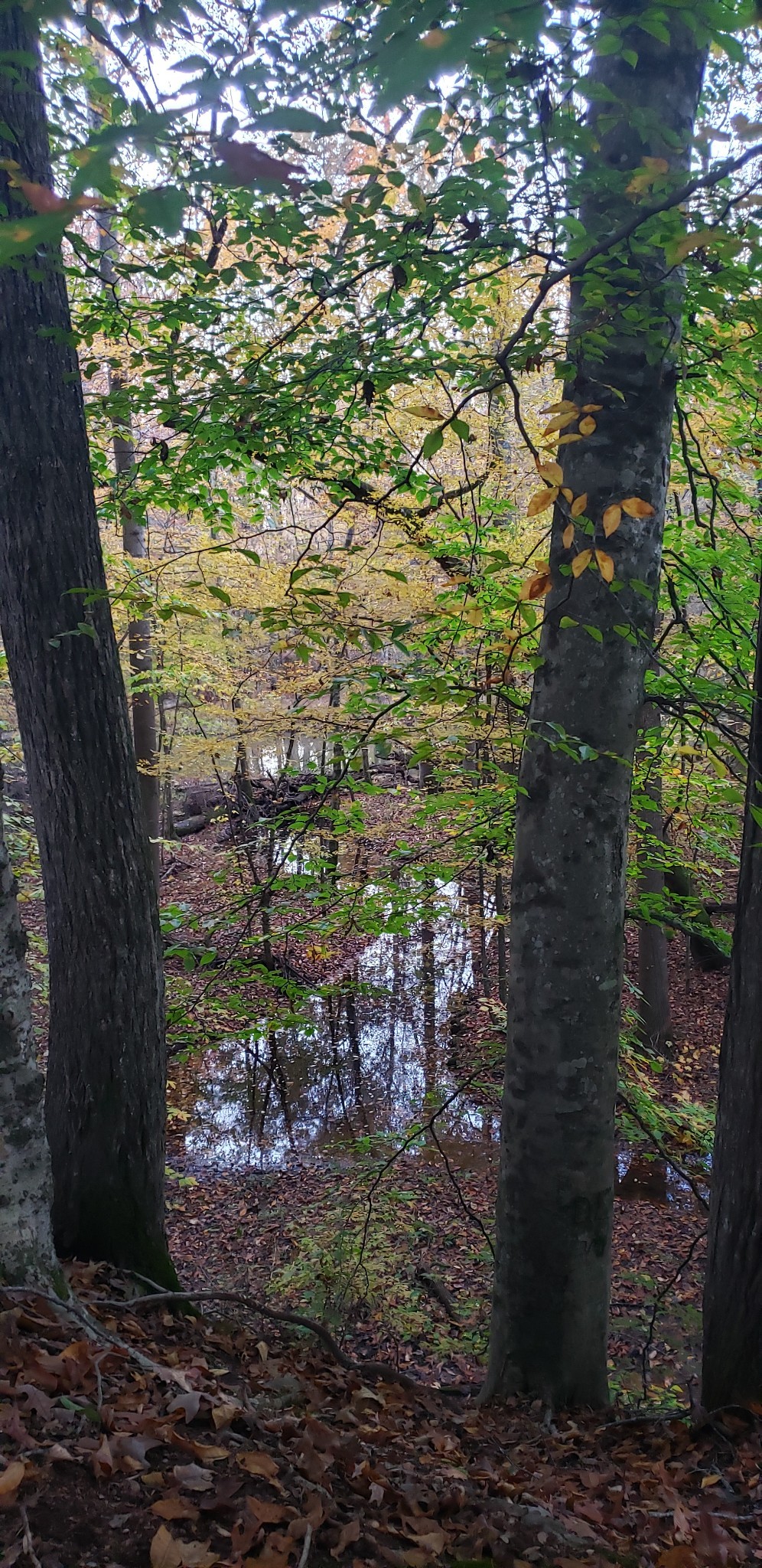 416 Powers Road Manchester, TN 37355 - Photo 70 of 72