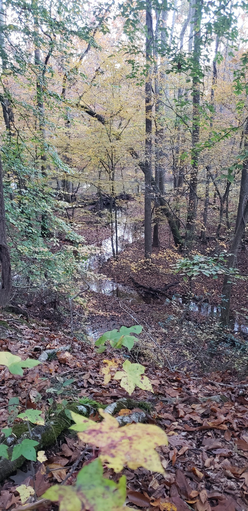 416 Powers Road Manchester, TN 37355 - Photo 71 of 72