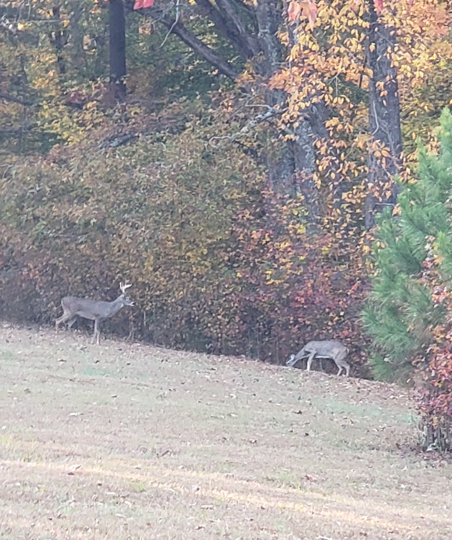 416 Powers Road Manchester, TN 37355 - Photo 72 of 72