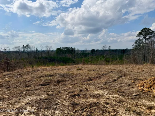 $175,000 | 3295 St Anne Road, Carthage, MS 39051