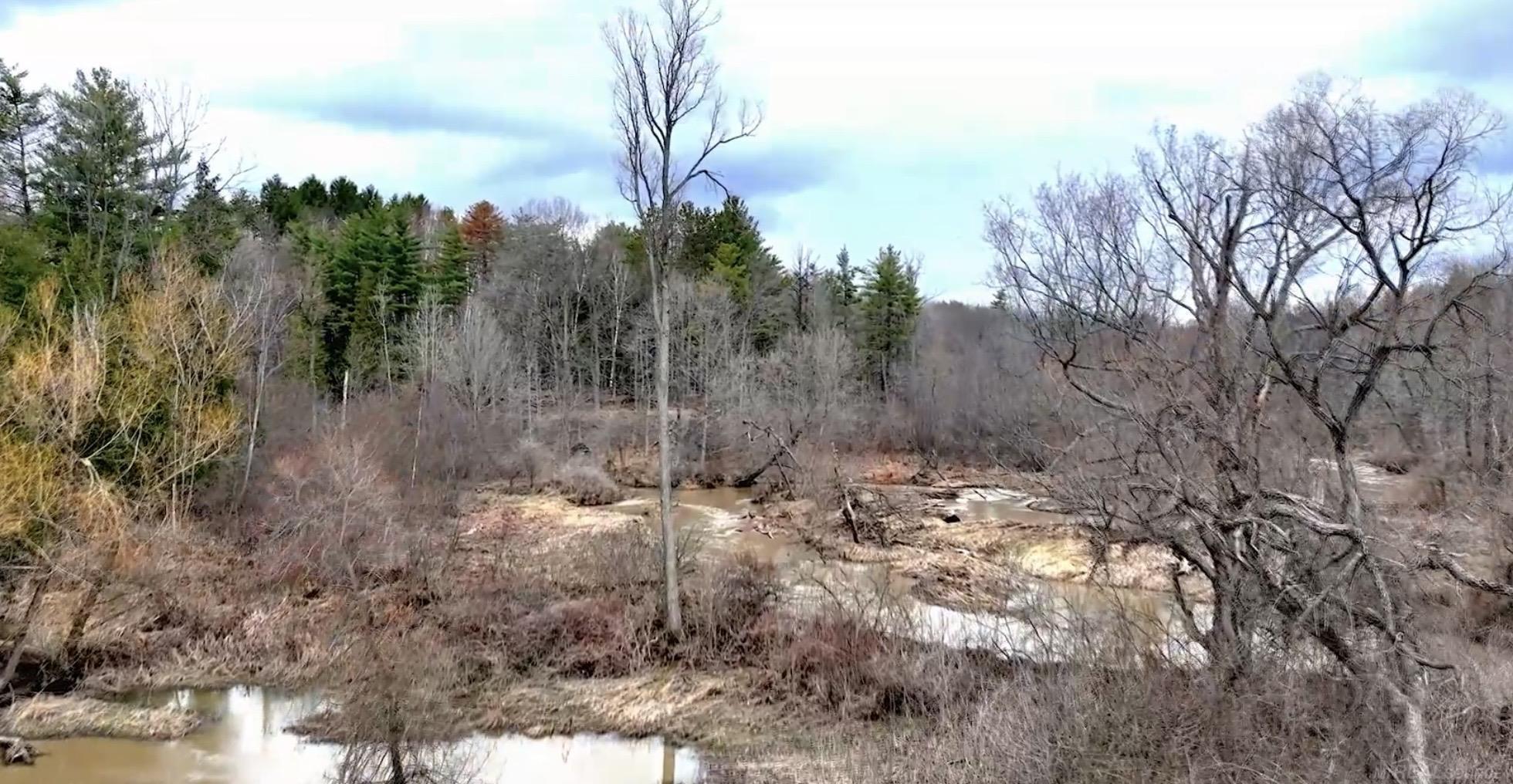 Rynn Road North Street, MI 48049 - Photo 8 of 15