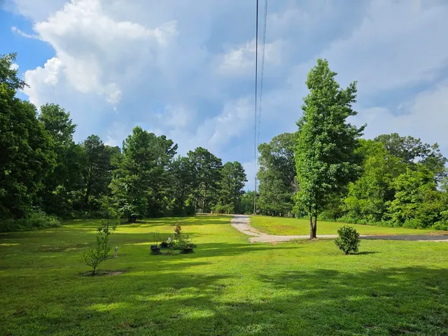 a view of a big yard with a swimming pool