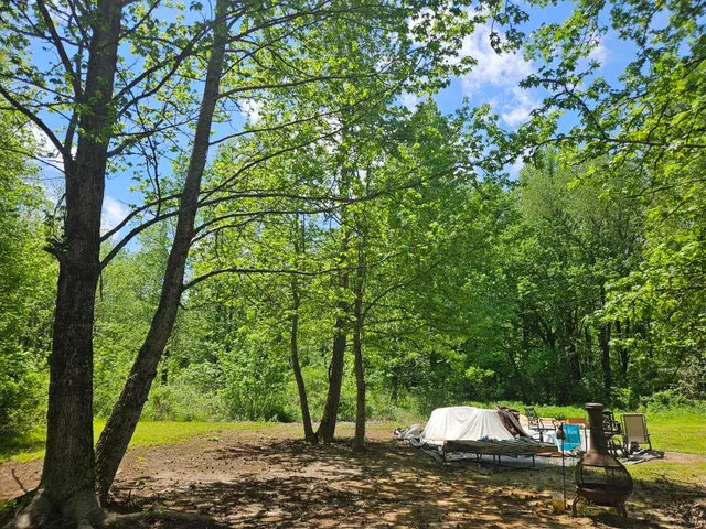 a view of yard with green space