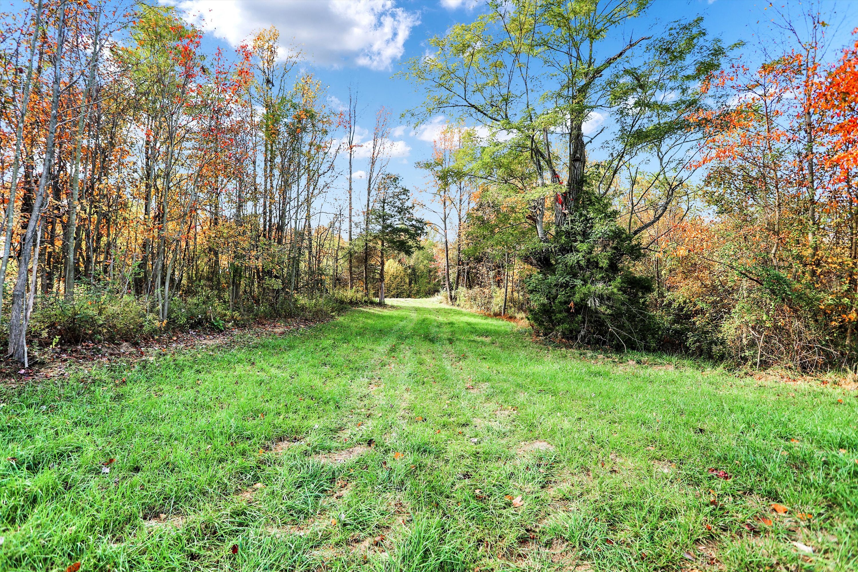 5585 West Carr Hill Road Columbus, IN 47201 - Photo 11 of 17