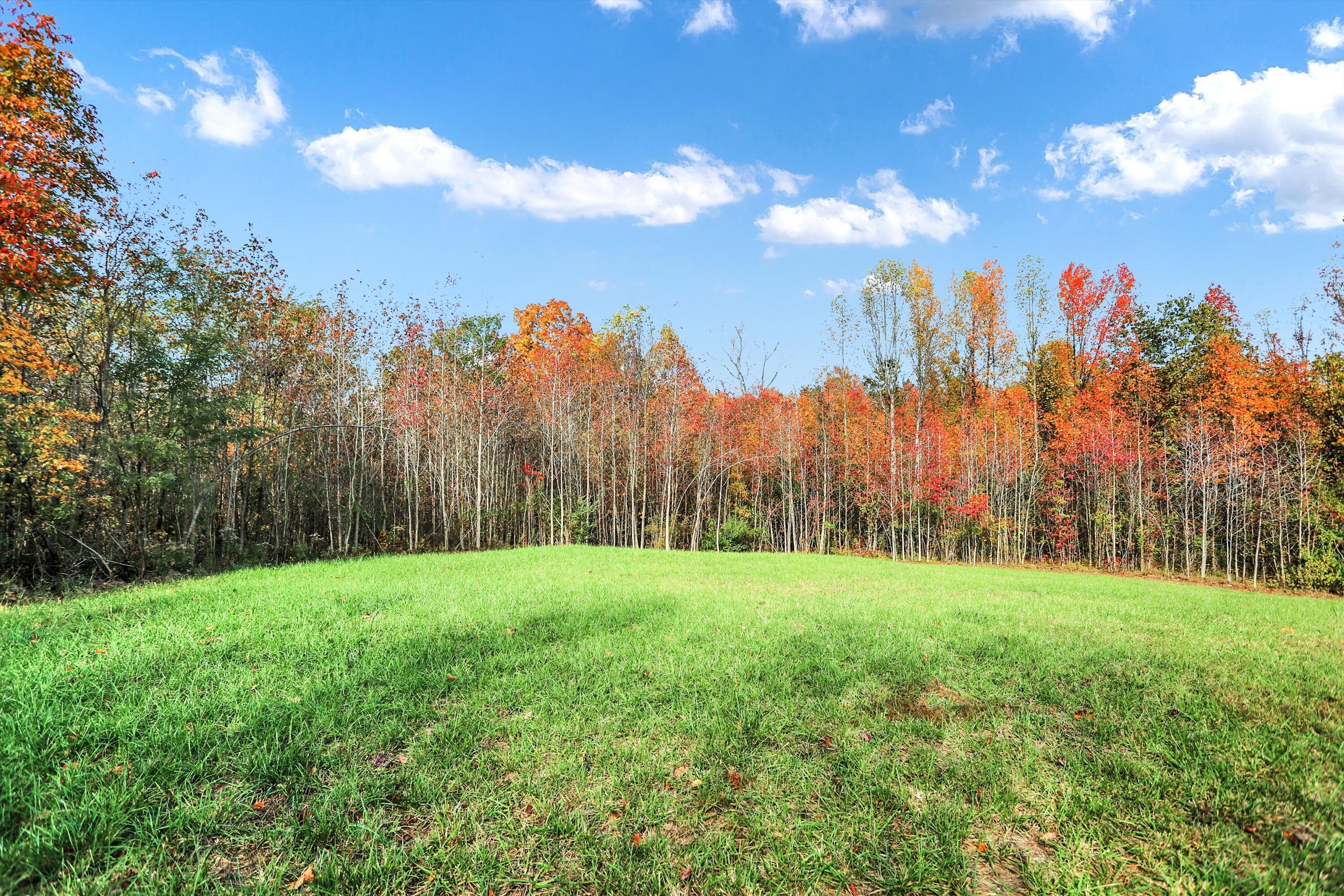 5585 West Carr Hill Road Columbus, IN 47201 - Photo 12 of 17