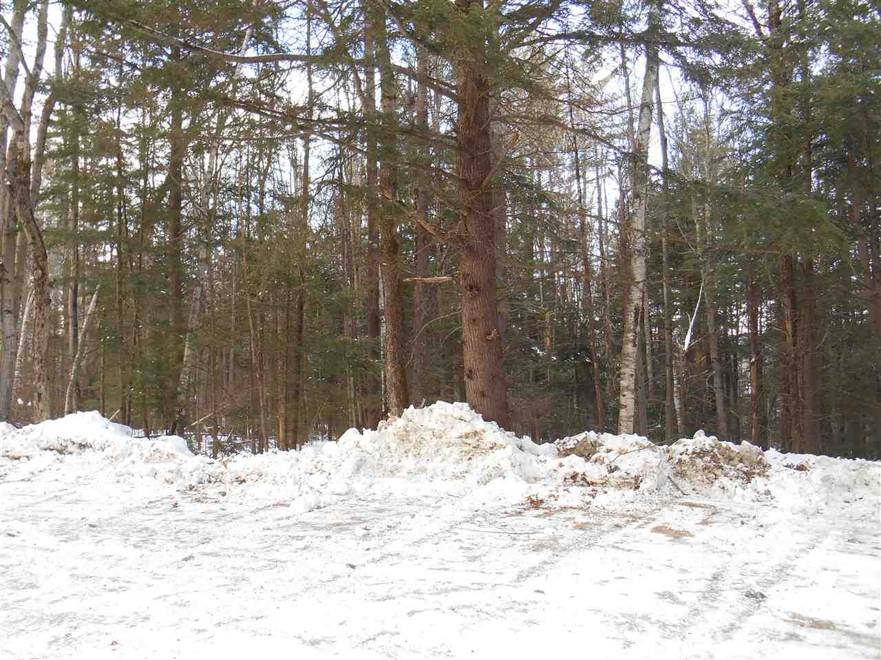 34 Deckmans Road, Unit 34 Danbury, NH 03230 - Photo 5 of 8