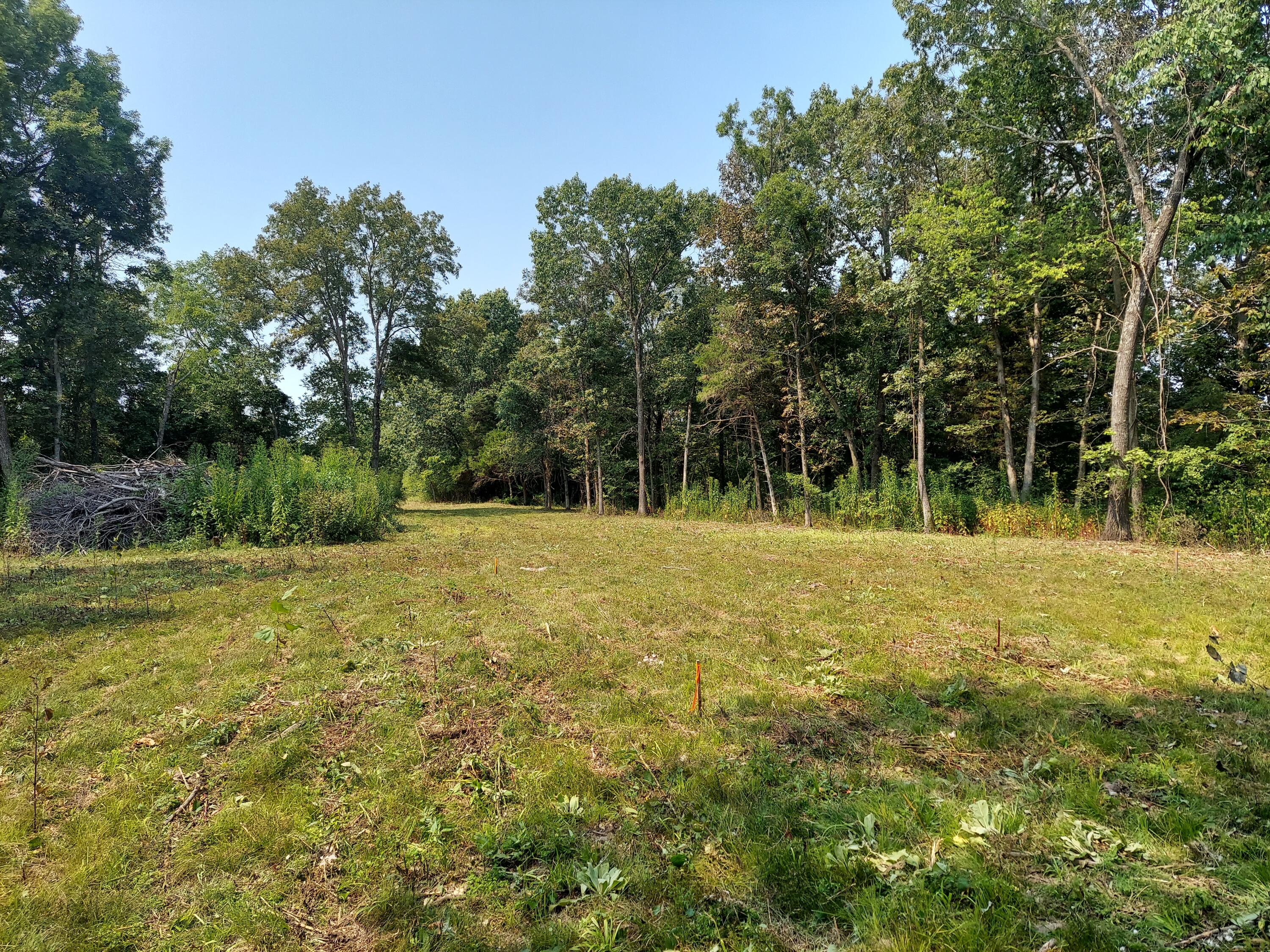6237 Hunters Glen Road Seligman, MO 65745 - Photo 1 of 8 1000000765