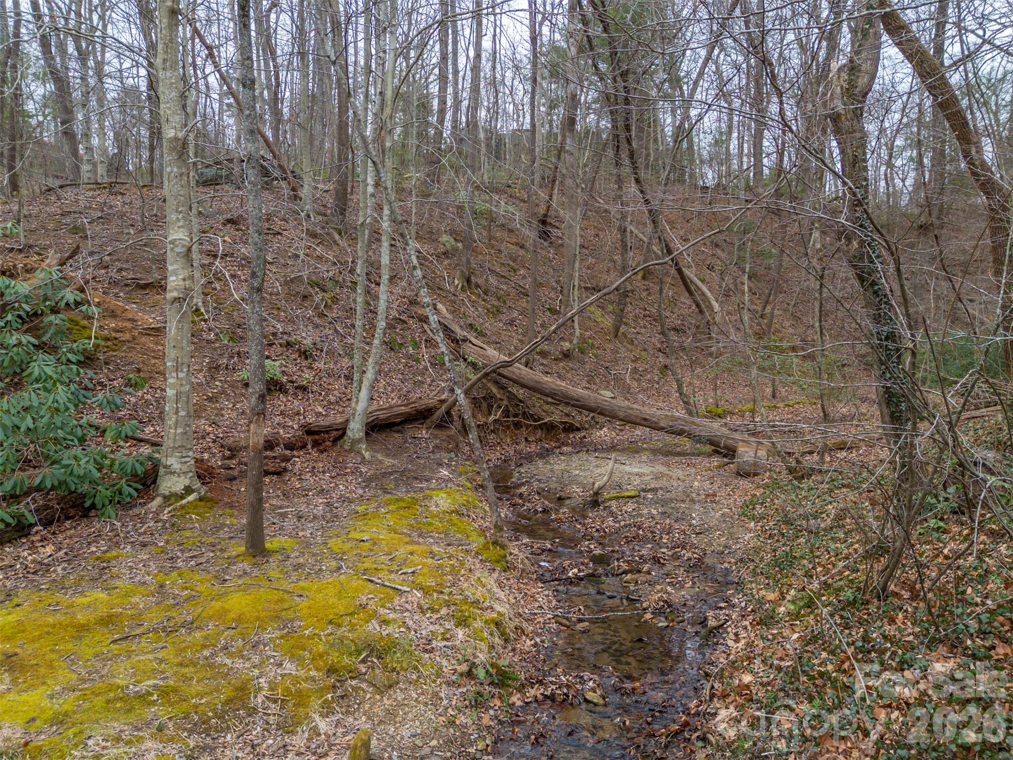 15 Meadowlark Drive Tryon, NC 28782 - Photo 45 of 48