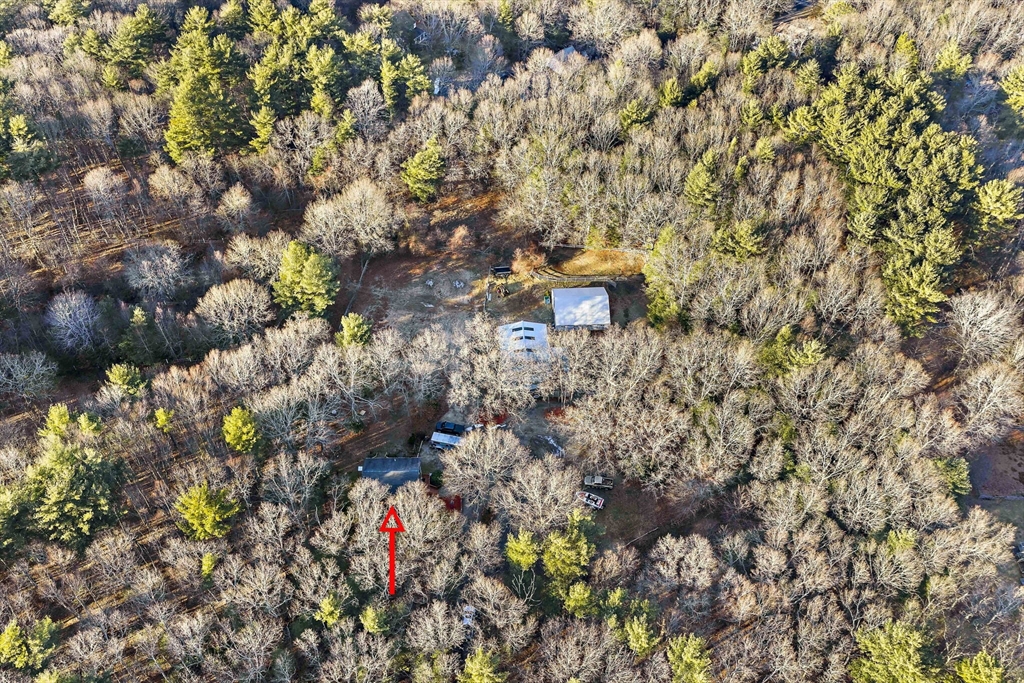 15 Forest Street Plympton, MA 02367 - Photo 26 of 37 a picture of street