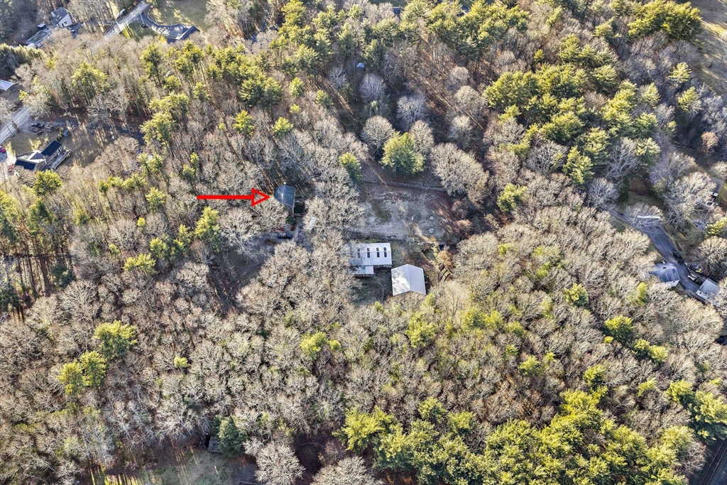 15 Forest Street Plympton, MA 02367 - Photo 28 of 37 a picture of flowers