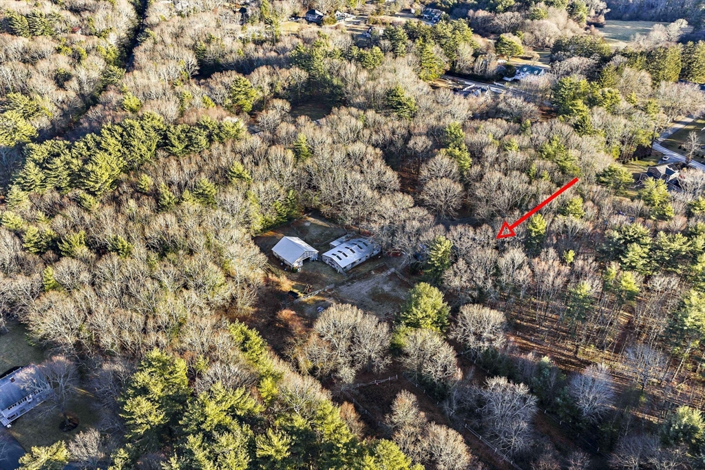 15 Forest Street Plympton, MA 02367 - Photo 32 of 37 a picture of trees