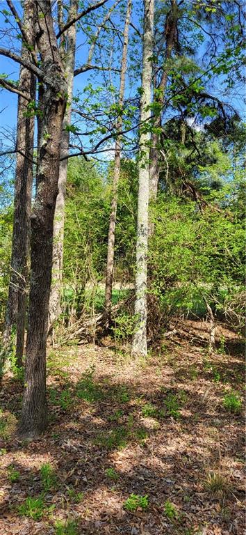 R3 Kersey Valley Road, Unit R2 & R3 Archdale, NC 27263 - Photo 13 of 22