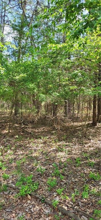 R3 Kersey Valley Road, Unit R2 & R3 Archdale, NC 27263 - Photo 6 of 22