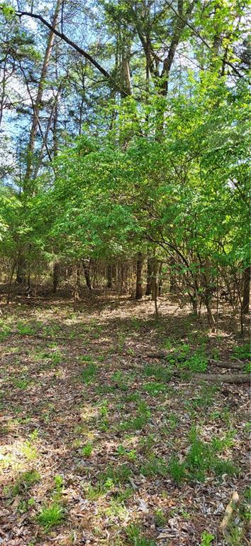 R3 Kersey Valley Road, Unit R2 & R3 Archdale, NC 27263 - Photo 7 of 22