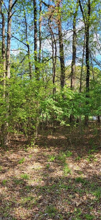R3 Kersey Valley Road, Unit R2 & R3 Archdale, NC 27263 - Photo 9 of 22