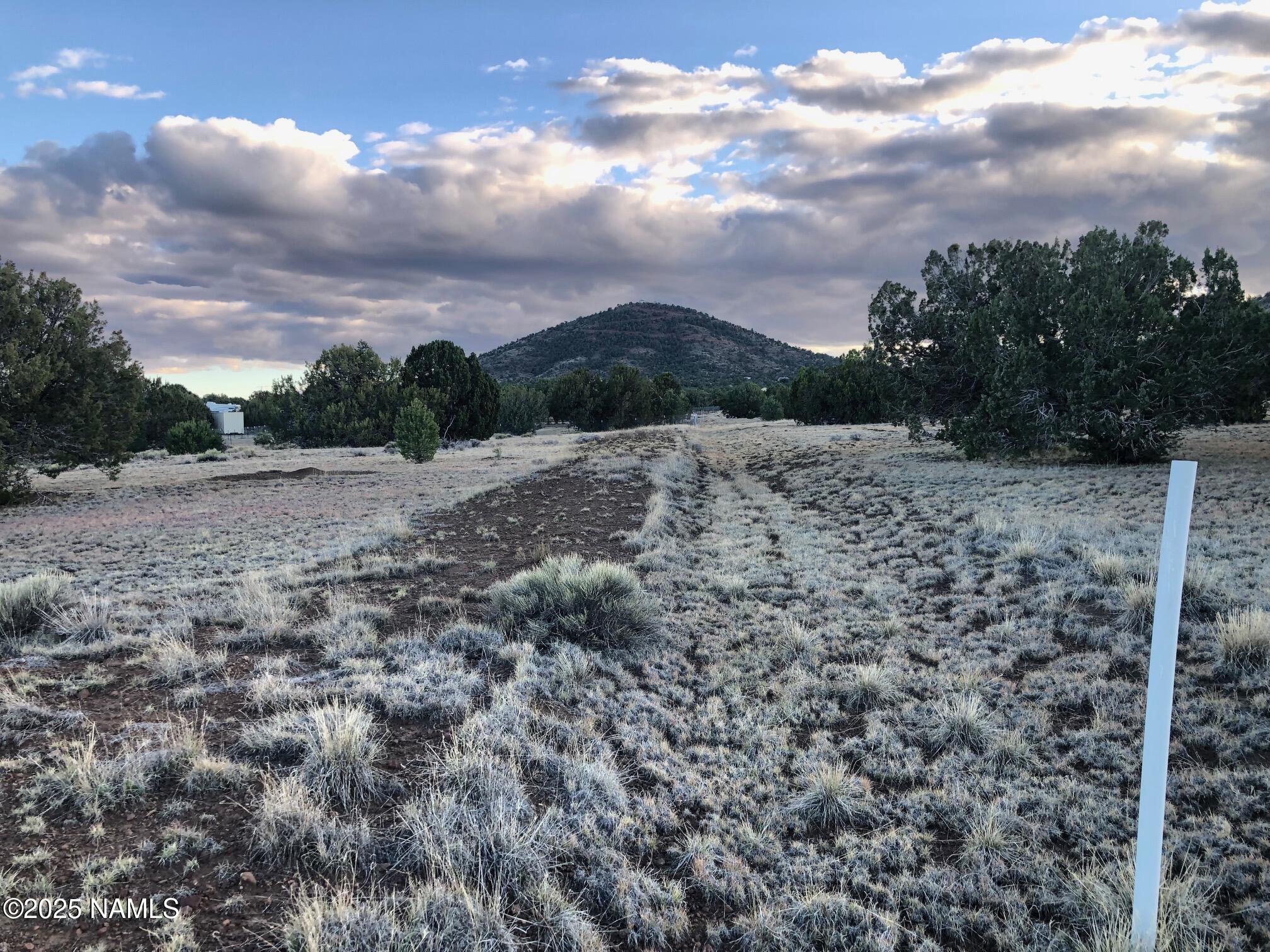 7378 Tulip Trail Williams, AZ 86046 - Photo 11 of 19 a view of a dry yard