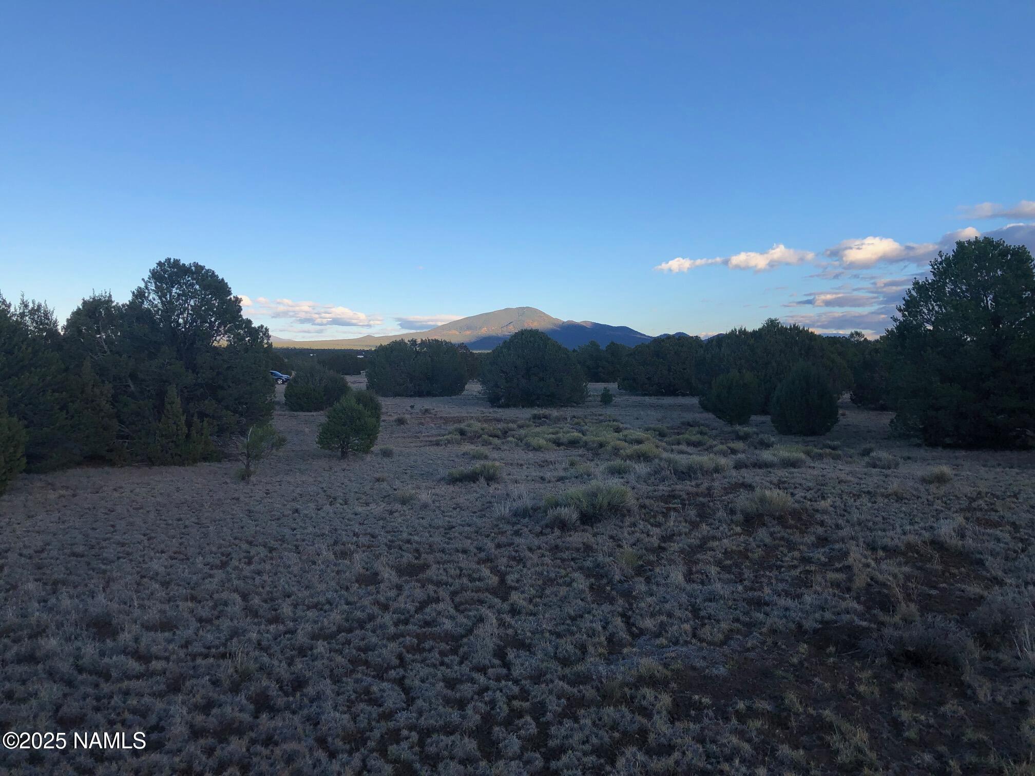 7378 Tulip Trail Williams, AZ 86046 - Photo 13 of 19 a view of a dry yard with trees