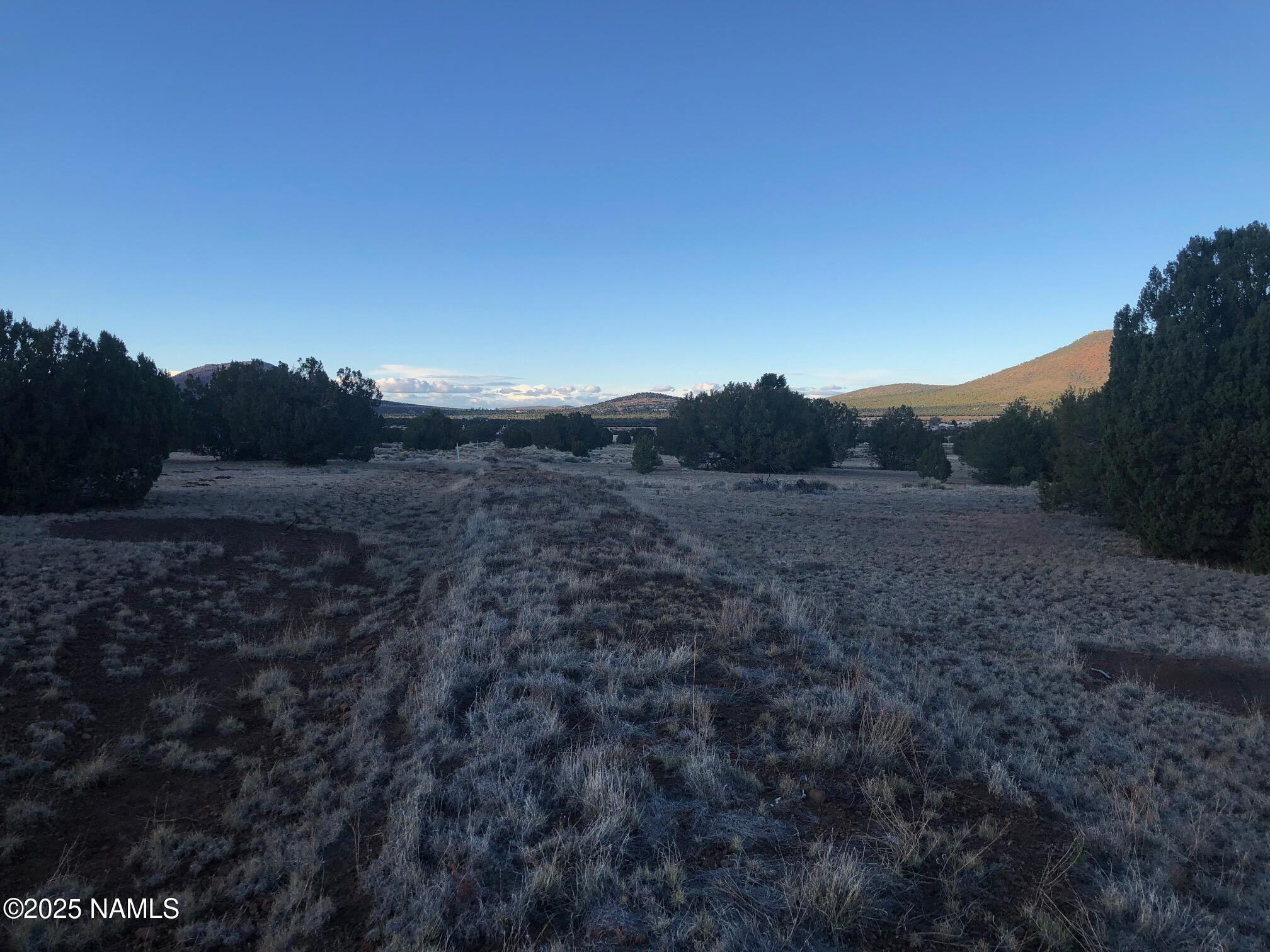 7378 Tulip Trail Williams, AZ 86046 - Photo 14 of 19 a view of a dry field