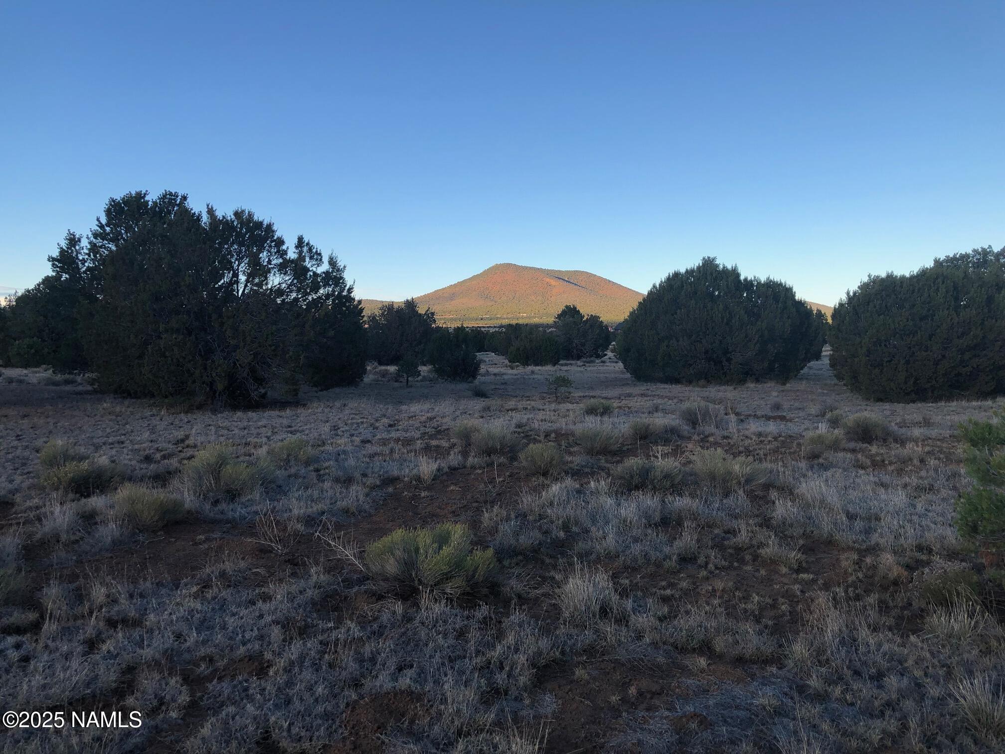 7378 Tulip Trail Williams, AZ 86046 - Photo 15 of 19 a view of a dry yard with trees in the background