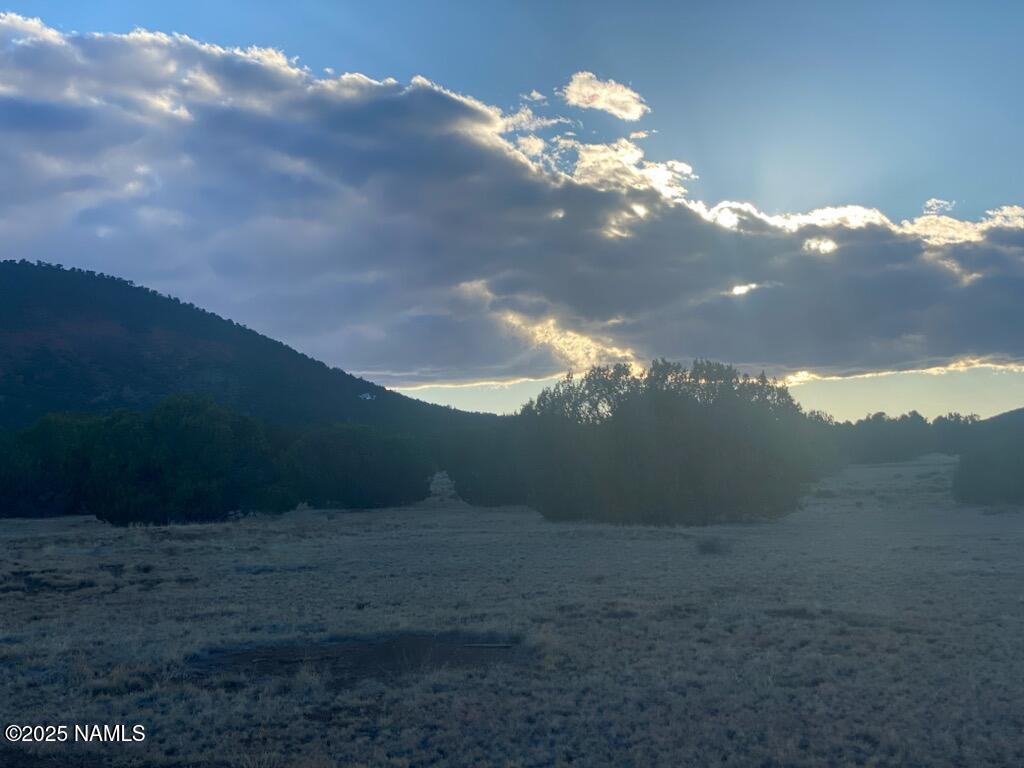 7378 Tulip Trail Williams, AZ 86046 - Photo 16 of 19 a view of a house with a yard