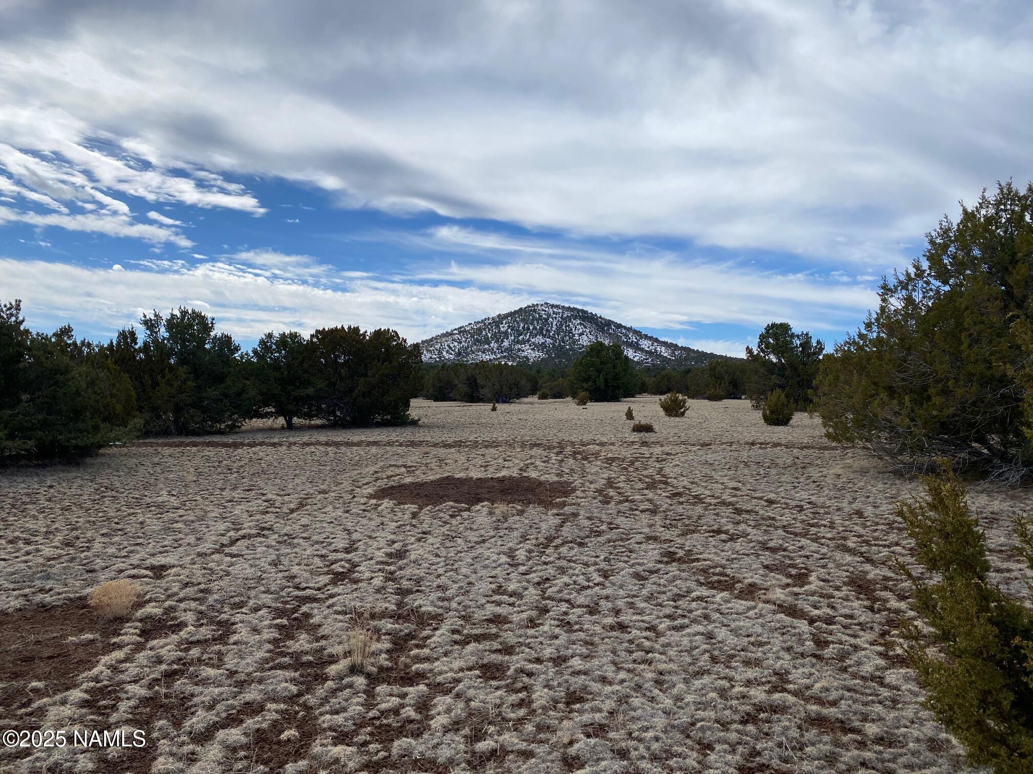7378 Tulip Trail Williams, AZ 86046 - Photo 3 of 19 a view of a dry yard with wooden fence