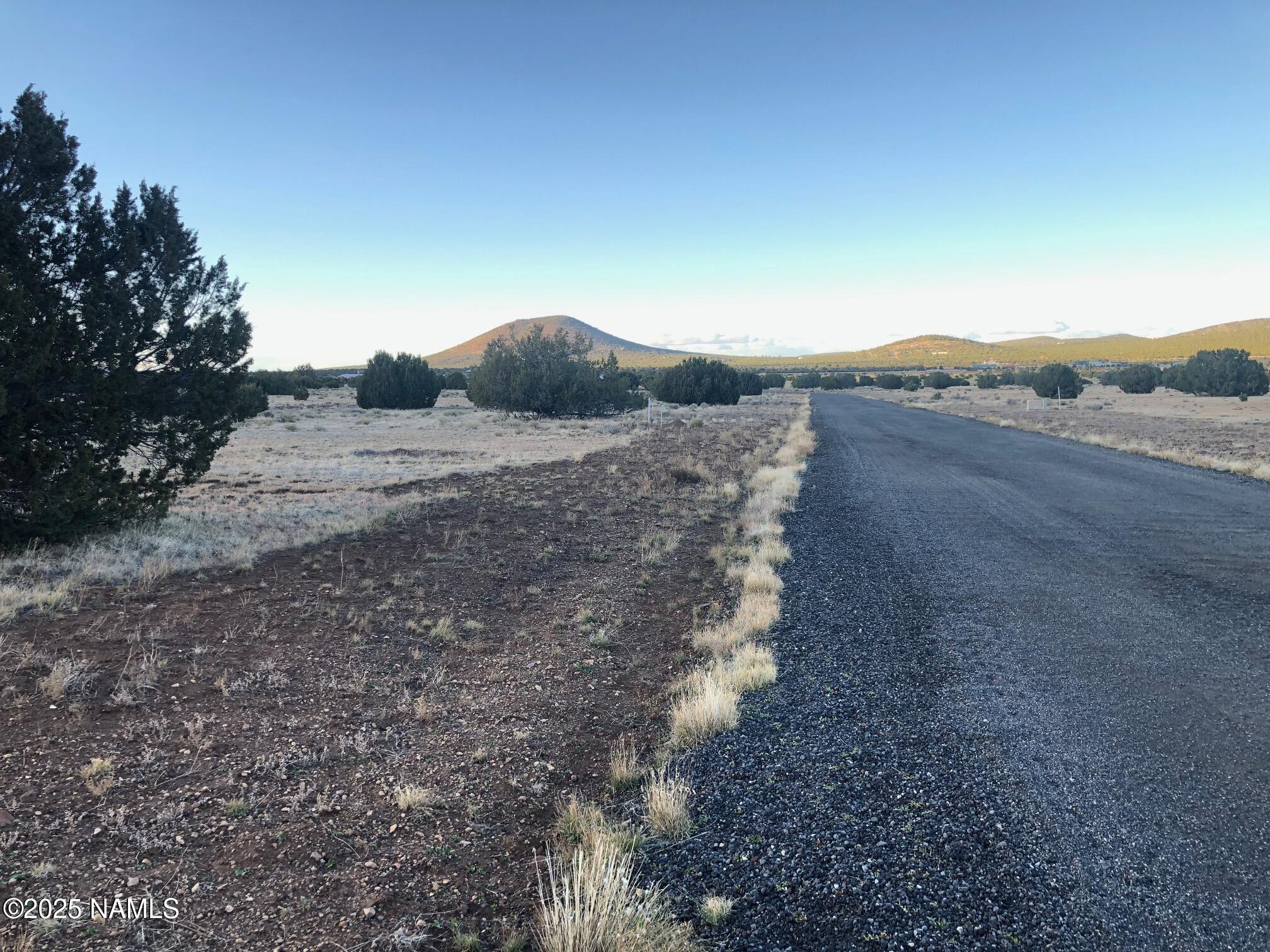 7378 Tulip Trail Williams, AZ 86046 - Photo 6 of 19 a view of a dry yard with wooden fence