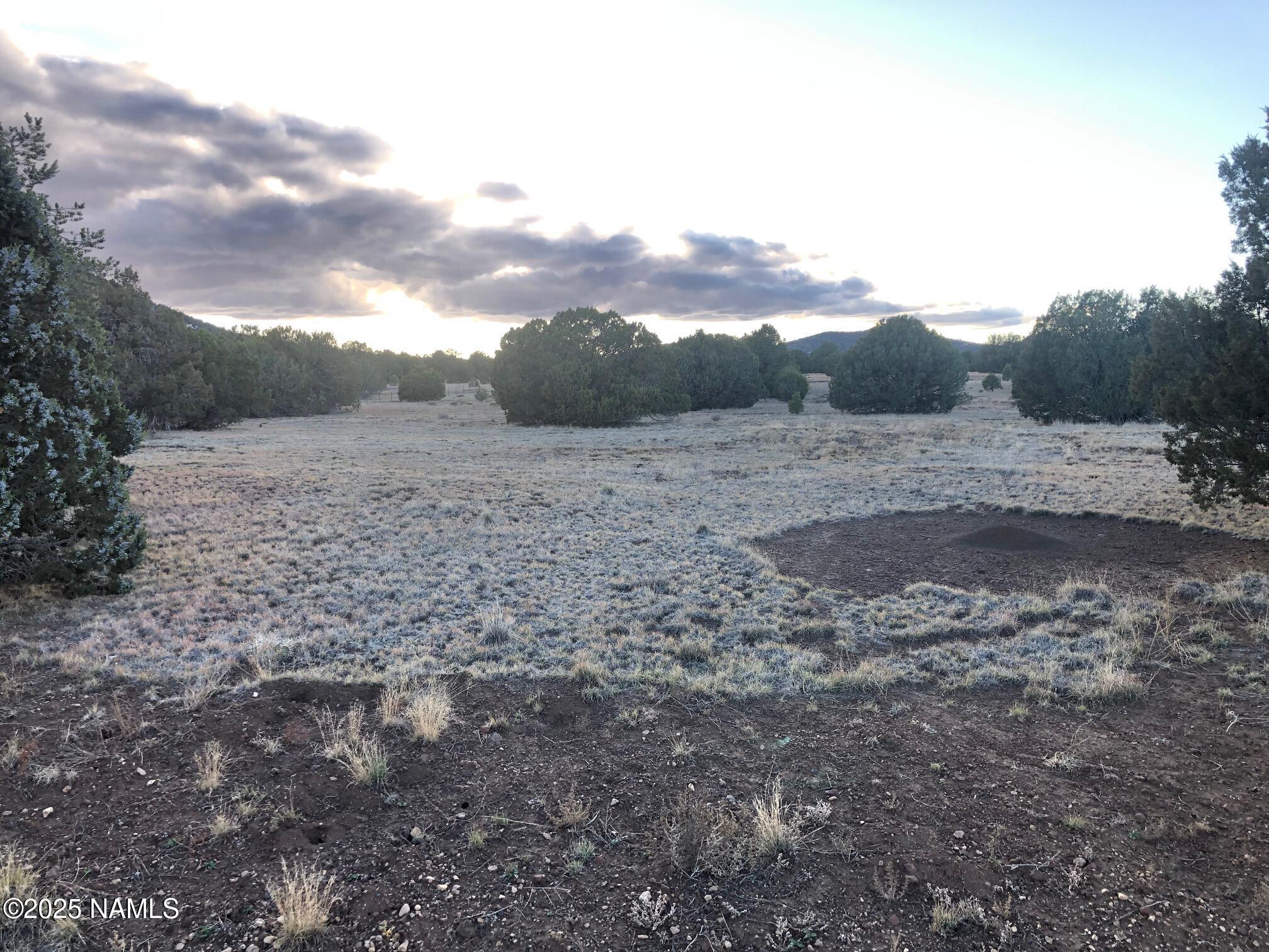 7378 Tulip Trail Williams, AZ 86046 - Photo 7 of 19 a view of dirt field with trees