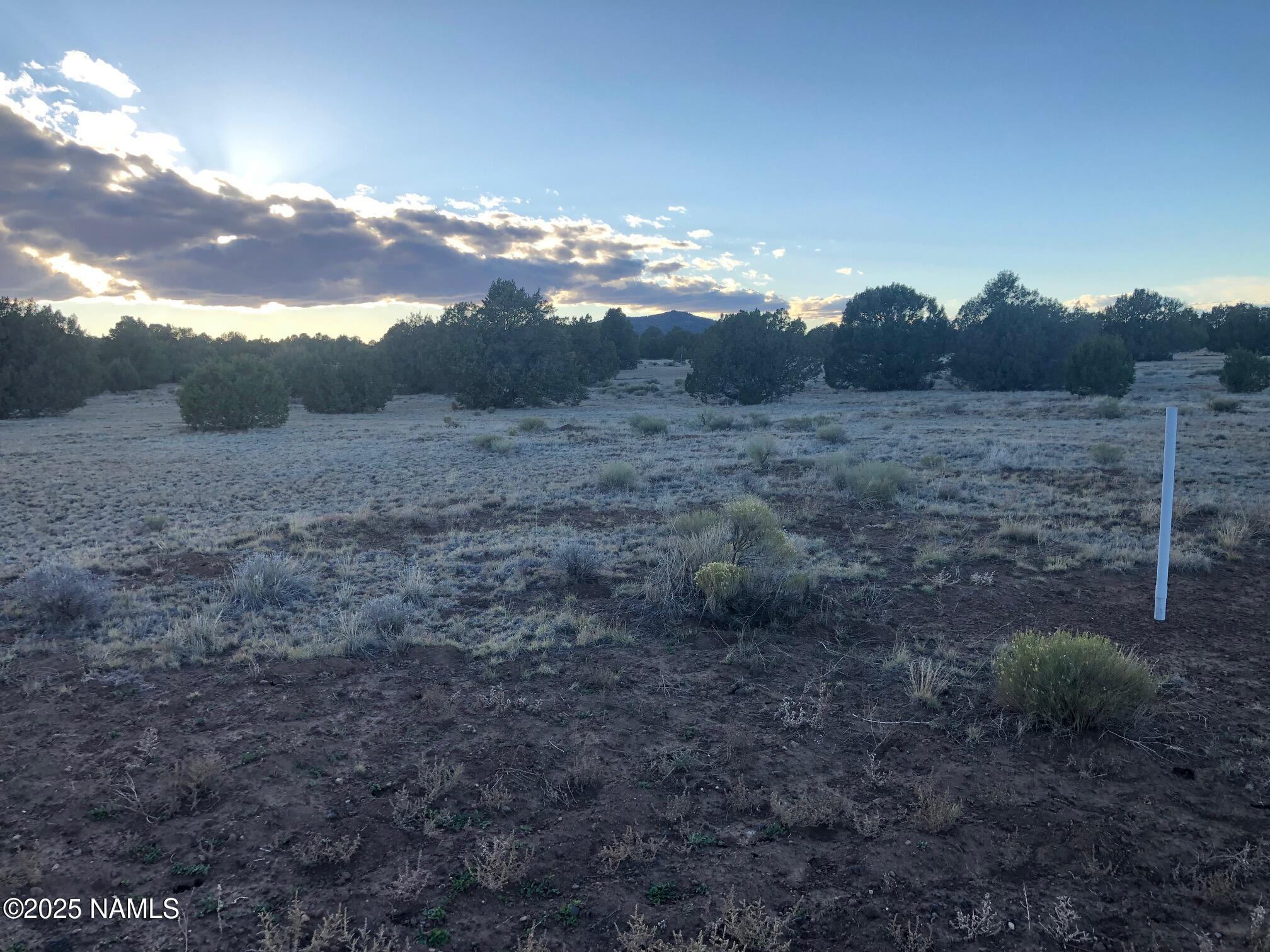 7378 Tulip Trail Williams, AZ 86046 - Photo 8 of 19 a view of a dry yard