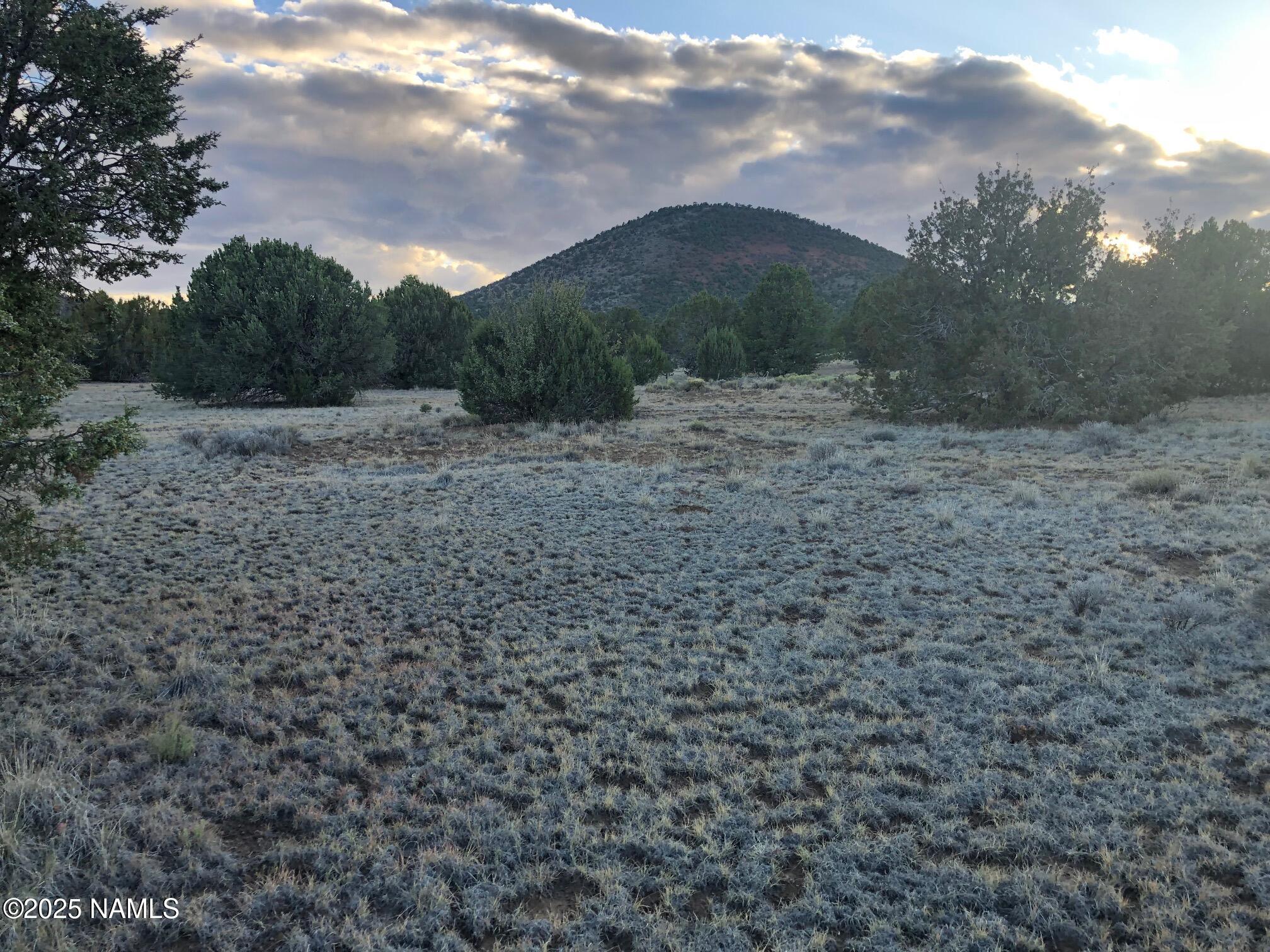 7378 Tulip Trail Williams, AZ 86046 - Photo 9 of 19 a view of a dry yard with lots of green space
