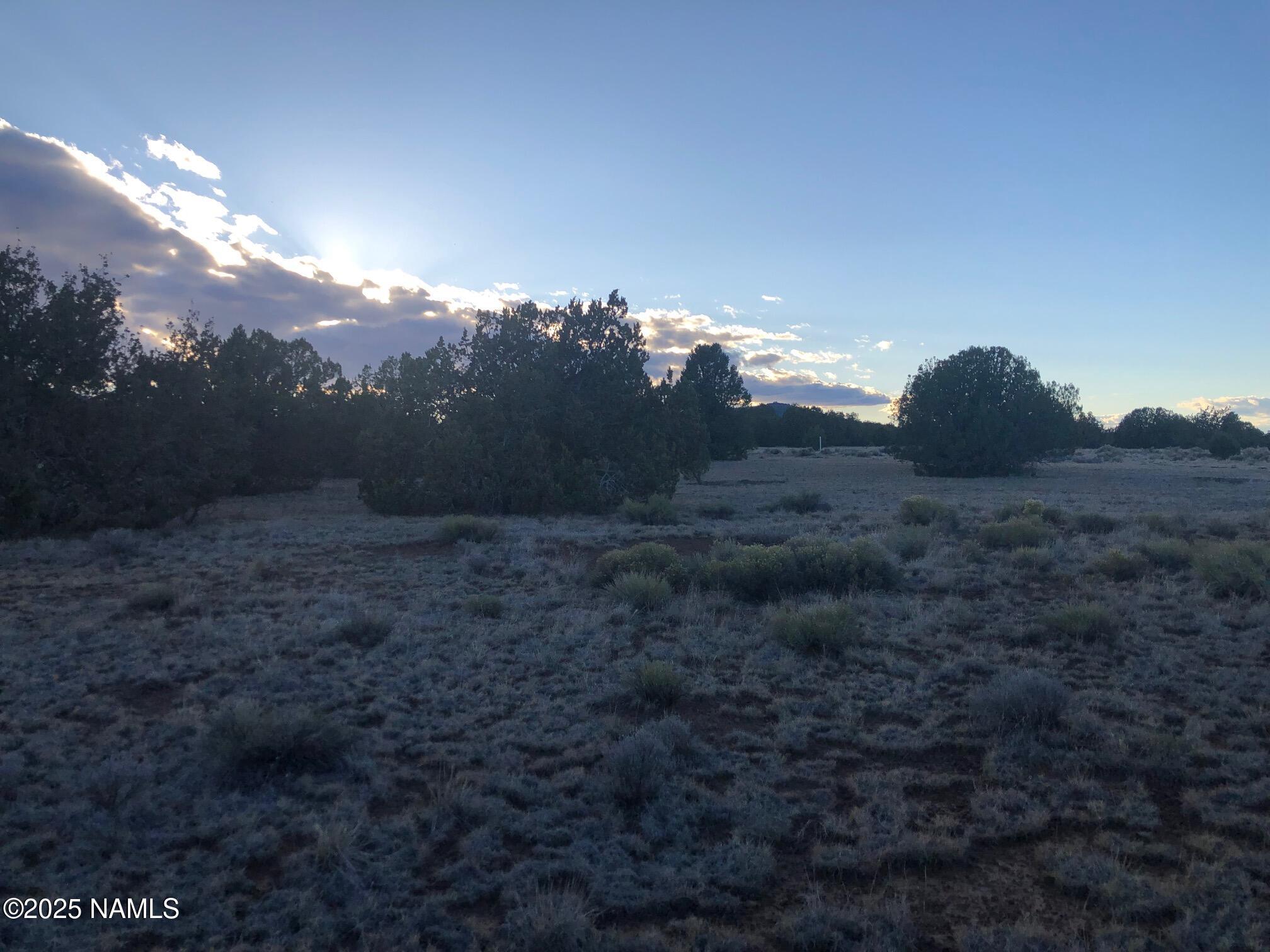 7378 Tulip Trail Williams, AZ 86046 - Photo 10 of 19 a view of a big yard