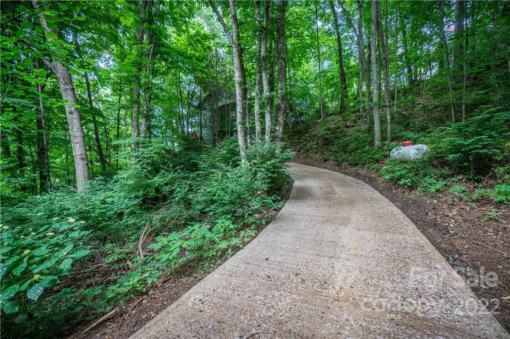 37 Country Road Clyde, NC 28721 - Photo 10 of 46 a view of a pathway with a garden
