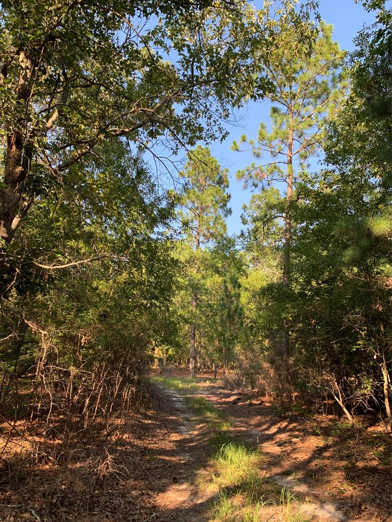 0 Hayden Road North Augusta, SC 29860 - Photo 1 of 1