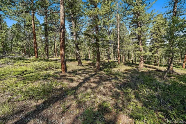 a view of yard with green space