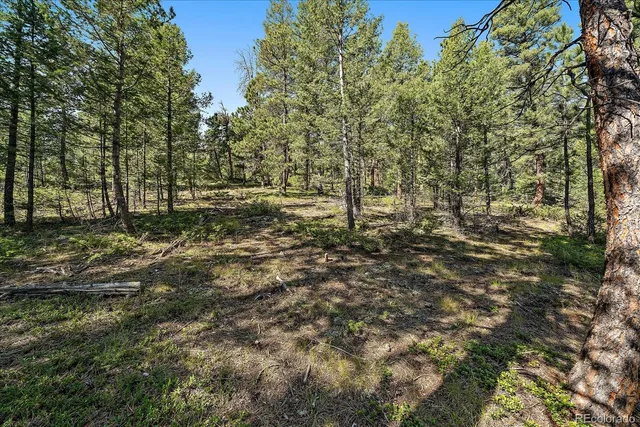 a big yard with lots of green space