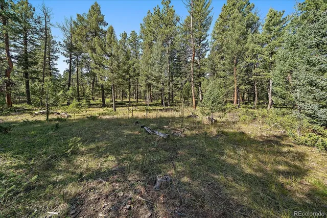 a big yard with lots of green space and deers