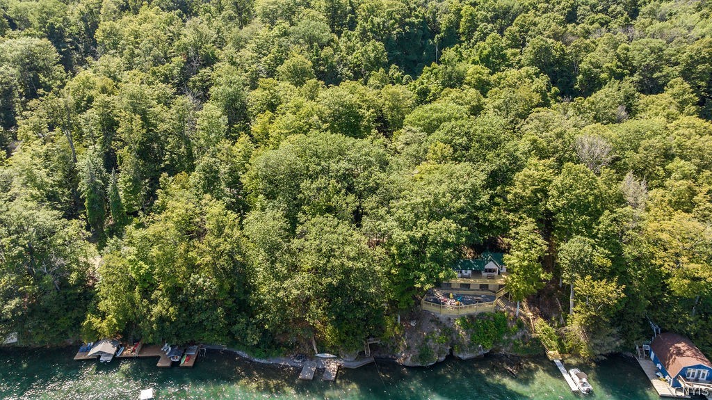 120 Ridings Drive Niles, NY 13077 - Photo 20 of 26 Aerial - Shoreline view