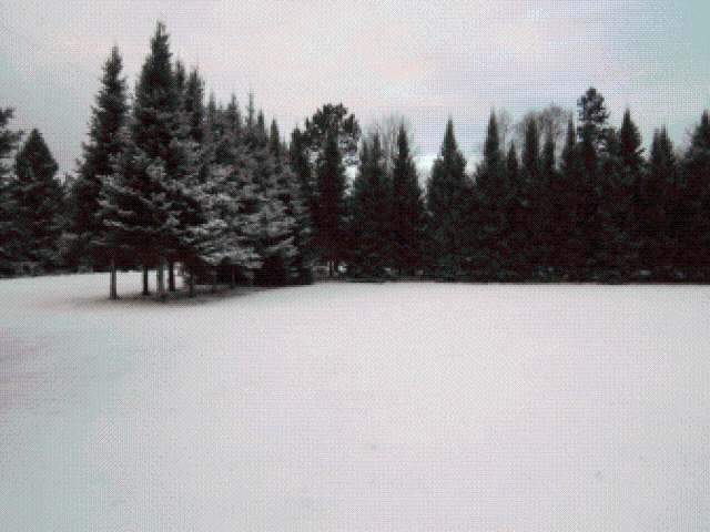 On Golf Course Road Phillips, WI 54555 - Photo 2 of 7 Gallery Image 2
