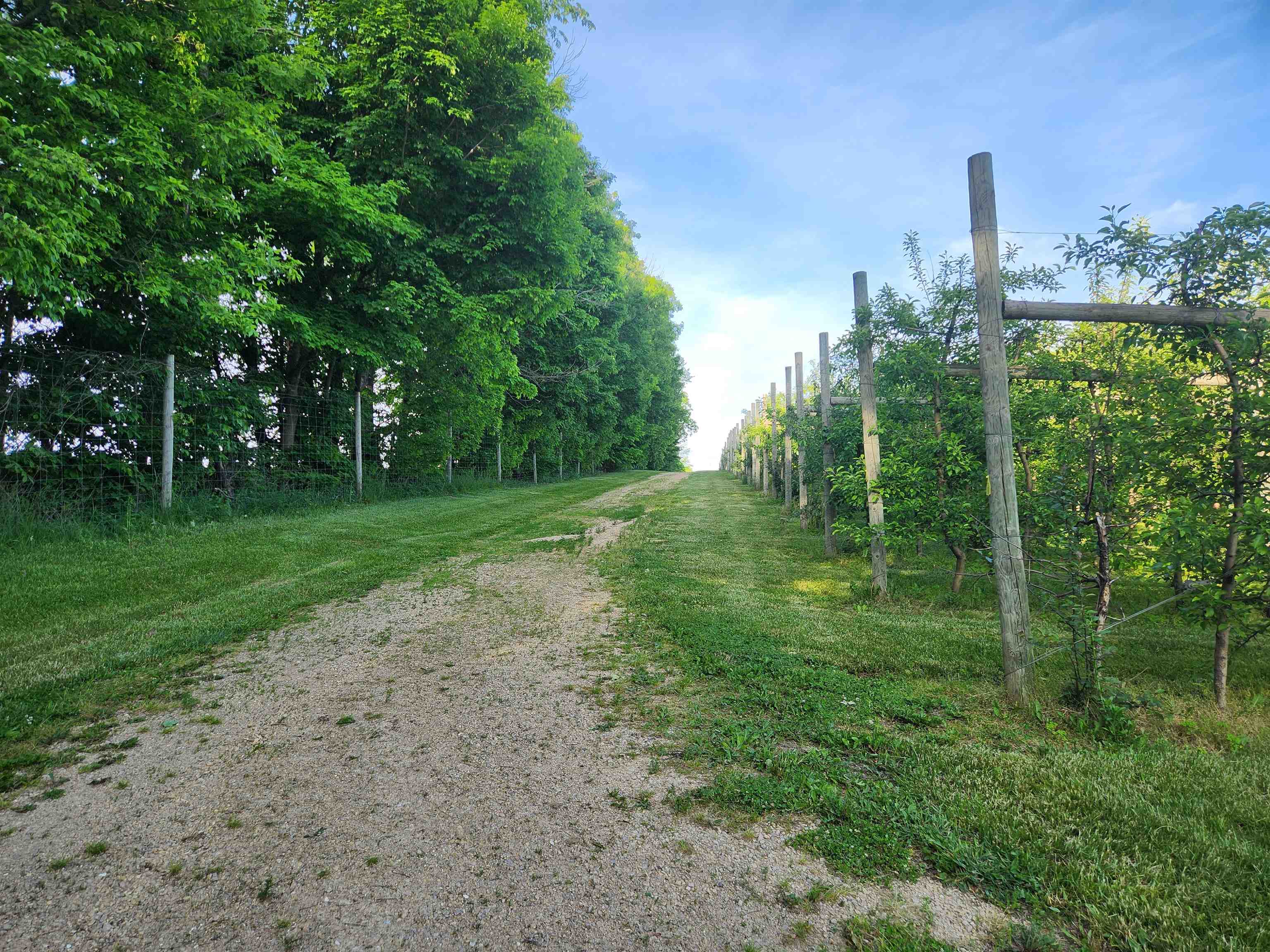 16318 County Rd V Hillsboro, WI 54634 - Photo 2 of 8