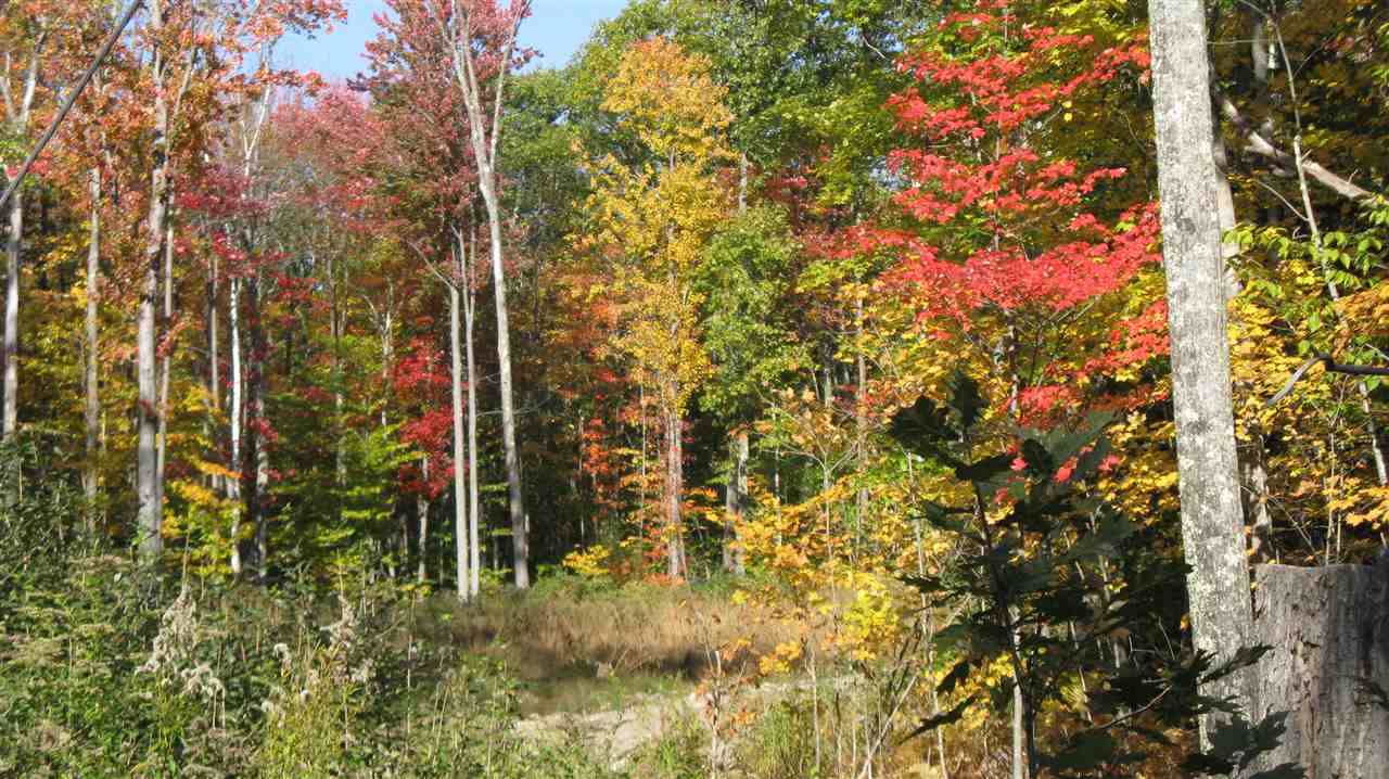 35-36 Allens Mill Road Gilmanton, NH 03237 - Photo 3 of 7