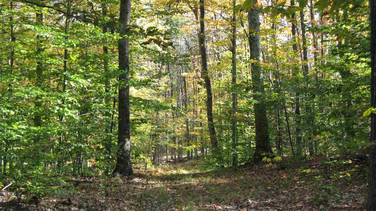 35-36 Allens Mill Road Gilmanton, NH 03237 - Photo 5 of 7