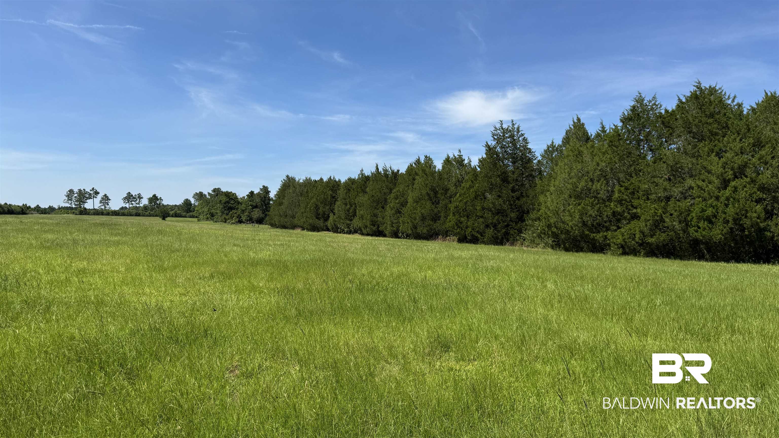 0 County Road 87 Elberta, AL 36530 - Photo 27 of 46