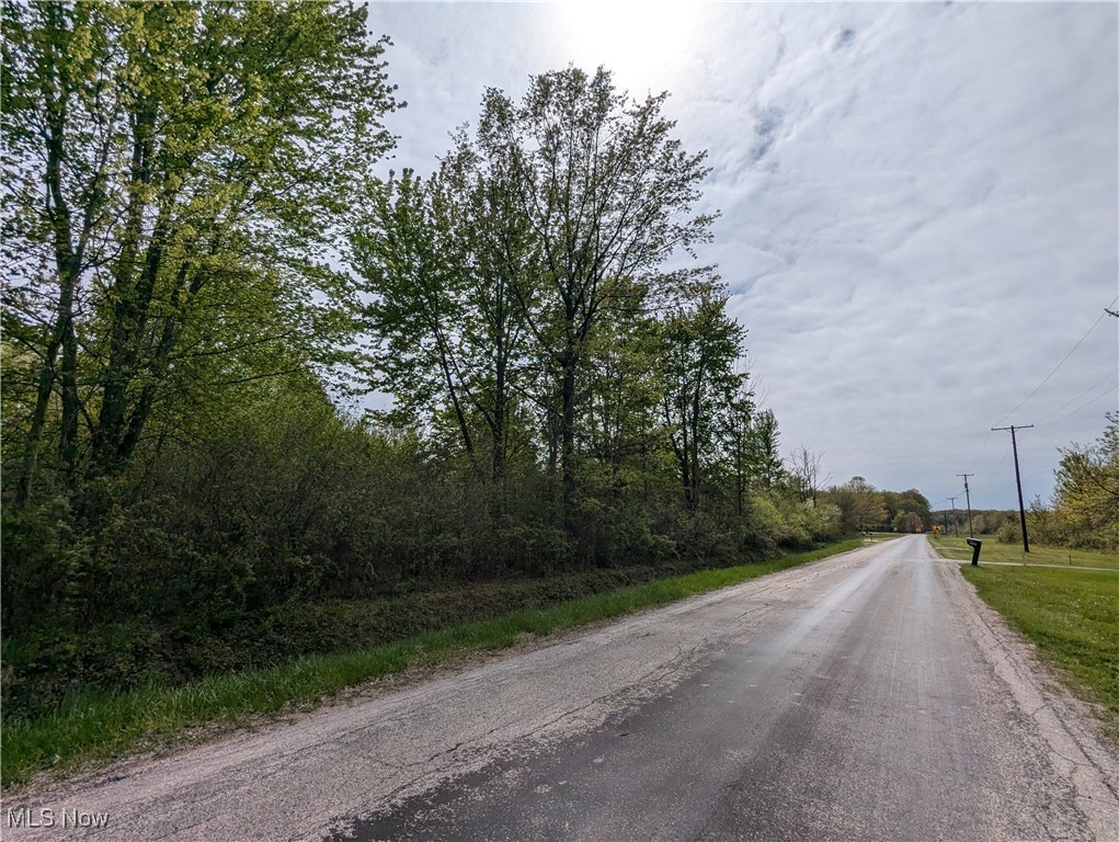 Gore Road Ashtabula, OH 44004 - Photo 2 of 13